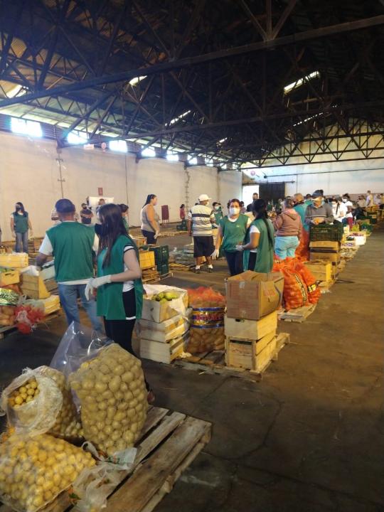 Foto 8 de 15 — Voluntários começam a separação de alimentos; entenda como será a distribuição
